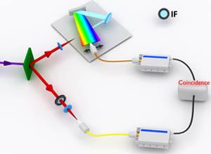 Ghost imaging as loss estimation: Quantum versus classical schemes